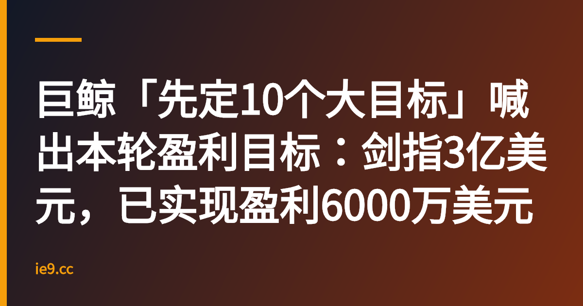 巨鲸「先定10个大目标」喊出本轮盈利目标：剑指3亿美元，已实现盈利6000万美元